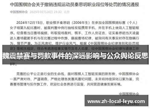 魏震禁赛与罚款事件的深远影响与公众舆论反思