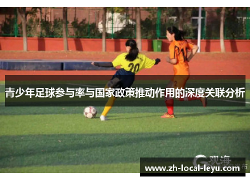 青少年足球参与率与国家政策推动作用的深度关联分析
